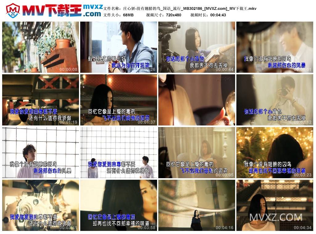 庄心妍-没有翅膀的鸟_国语_流行_MB302186